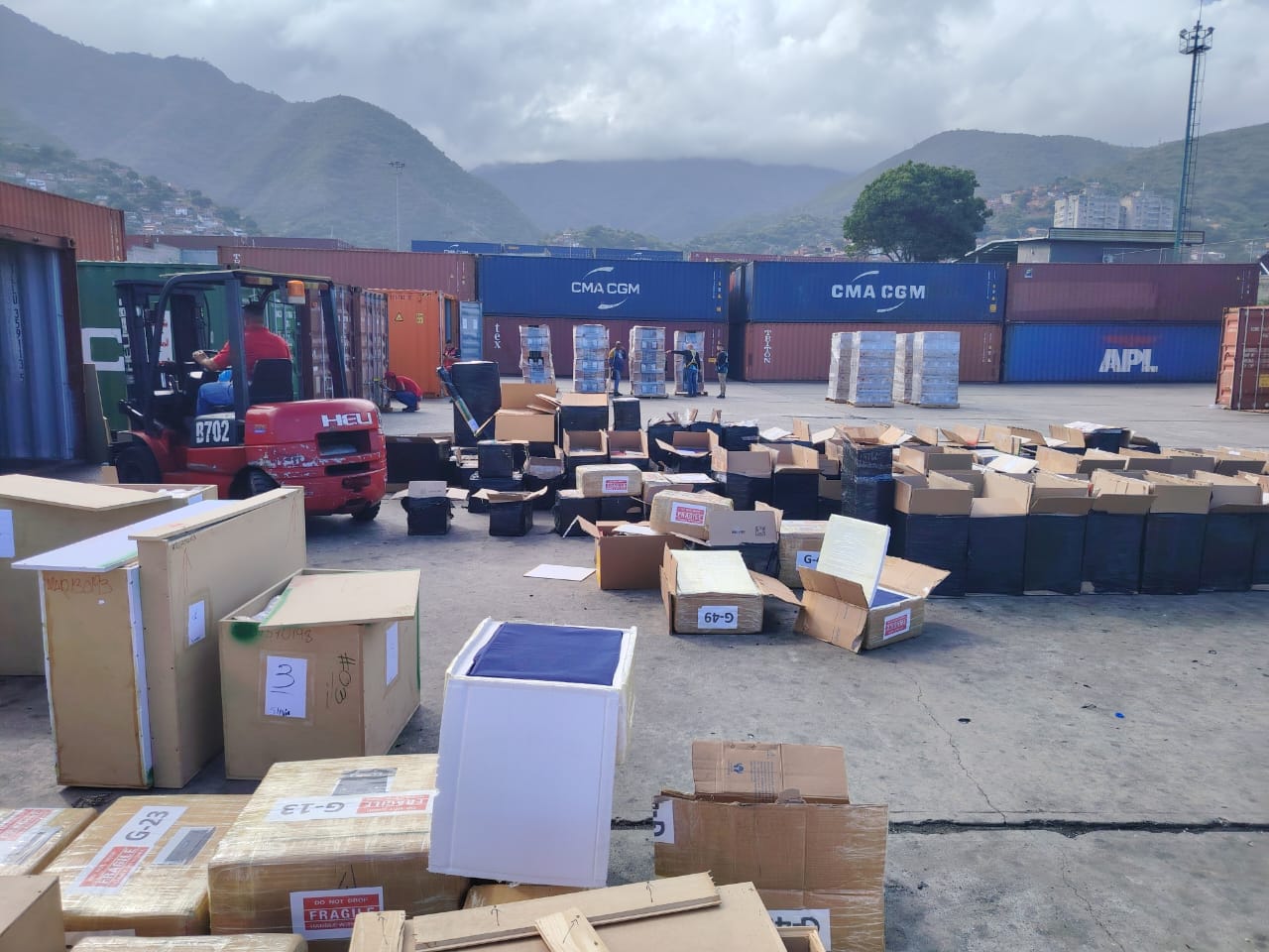 Patio de puerto con contenedores de línea naviera, montacargas y carga clasificada e identificada en el suelo